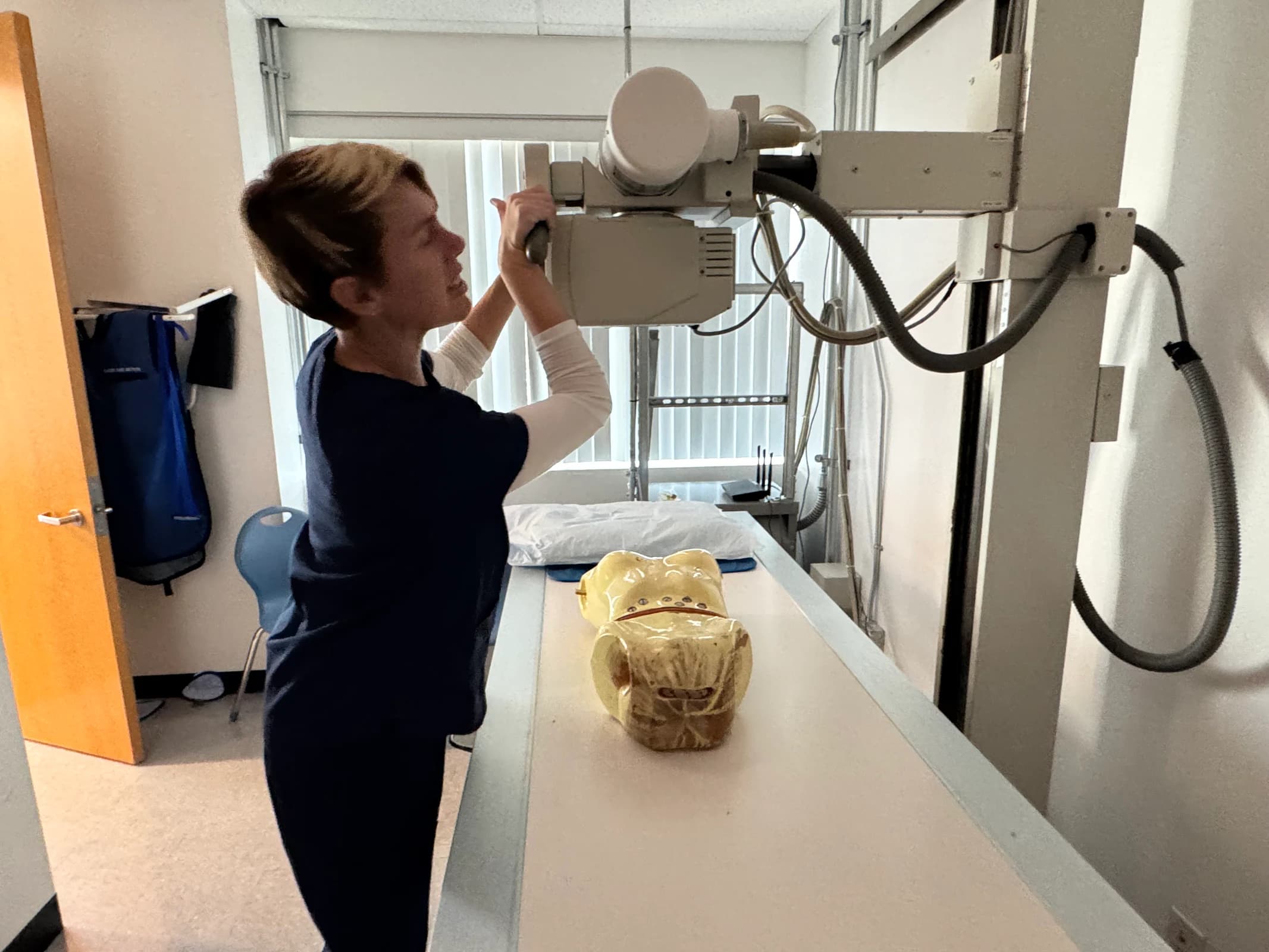 A CCI Oxnard student works with X-ray equipment in the Limited Permit X-Ray Technician lab.